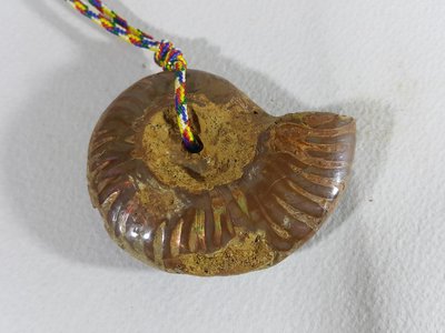 [銀九藝] 古生物 斑彩螺 鸚鵡螺化石 項墜 項鍊 (8)