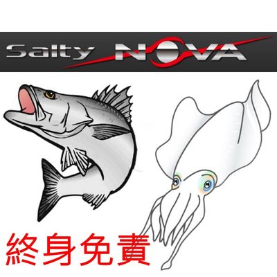 【野川釣具-釣魚】 Salty NOVA Series 海鱸-962M/軟絲-862ML/岸拋-862H