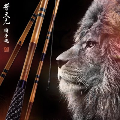 現貨熱銷-SHIMANO禧瑪諾普天元新款日本產獅子吼7~21尺并繼竿鯽魚竿魚竿