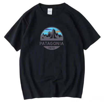 【熱賣精選】 Patagonia Bata T恤男款歐美打底衫