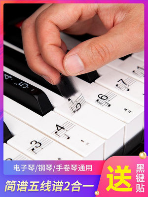 鋼琴通用貼紙88鍵透明61電子琴按鍵盤音標貼音符不粘五線簡譜配件