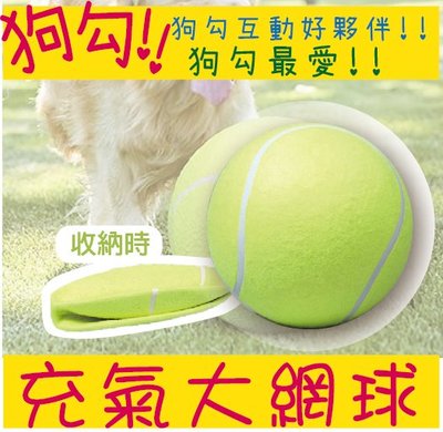 24CM 充氣大網球 簽名球 巨大網球 超大網球 巨大簽名網球 歡樂度100分 寵物大玩具