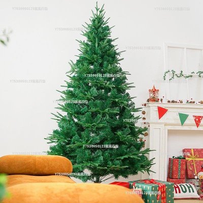 圣誕樹家用擺件1.2米1.5米1.8米2.4米3米圣誕節裝飾店鋪場景布置