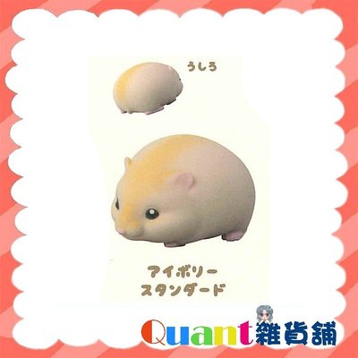 ∮Quant雜貨鋪∮┌日本扭蛋┐ KOROKORO 捏捏掌中倉鼠 單售 02款 捏捏倉鼠 倉鼠 轉蛋