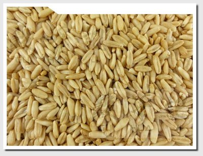 燕麥粒 OAT GROATS - 3kg 穀華記食品原料