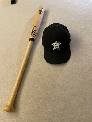 Rawlings baseball bat 棒球棒