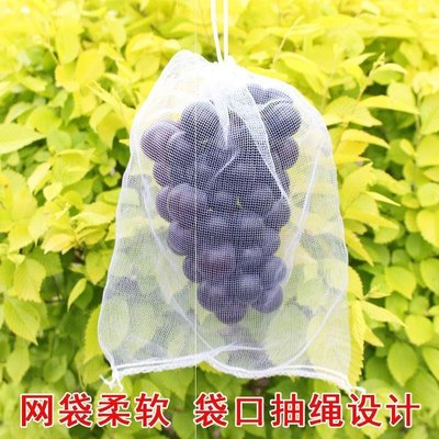 上新 葡萄套果的袋水果套袋防鳥網袋防蟲瓜果蔬菜塑料白色網袋大~優惠價