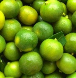 新鮮四季金桔（10斤)黃綠混合