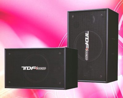 台灣鉿庫TDF PA-1003專業吊掛式歌唱喇叭10吋低音兩音路三單體~輕鬆唱 超Q  美華 音圓