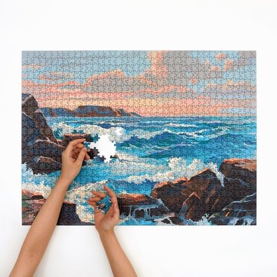 全新現貨正品 加拿大 FourPointPuzzles - Ocean 數字油畫系列 拼圖 1000片  2021新