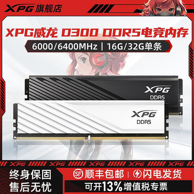威剛XPG威龍D300 DDR5 16G/32G 6000 6400桌機電競超頻馬甲記憶體