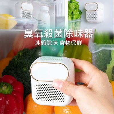 促銷 冰箱除臭器/臭氧機 食物保鮮 家用淨化器 臭氧殺菌 去異味/淨化空氣/廁所/廚房 (USB充電)