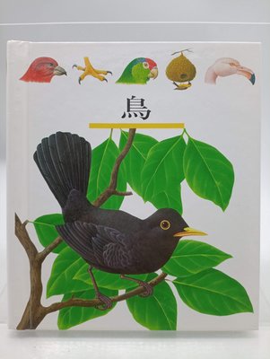 【月界二手書店2S】鳥－第一個發現系列19．精裝本（絕版）_理科出版社　〖少年童書〗CKI