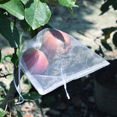 溜溜水果網保護套袋防蟲防鳥草莓葡萄枇杷桃子無花瓜果番石榴透氣紗網